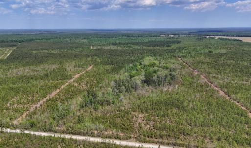 Photo #18 of Lot 13 Guinea Mill Rd, Ernul, NC 35.0 acres
