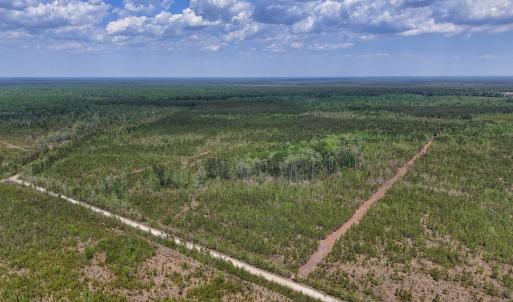 Photo #1 of Lot 13 Guinea Mill Rd, Ernul, NC 35.0 acres