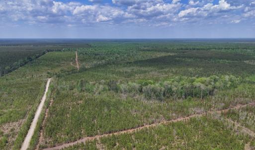 Photo #2 of Lot 13 Guinea Mill Rd, Ernul, NC 35.0 acres