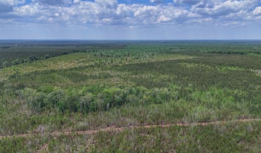 Photo #3 of Lot 13 Guinea Mill Rd, Ernul, NC 35.0 acres