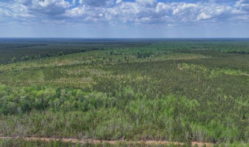 Photo #4 of Lot 13 Guinea Mill Rd, Ernul, NC 35.0 acres