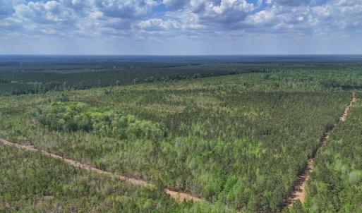 Photo #5 of Lot 13 Guinea Mill Rd, Ernul, NC 35.0 acres