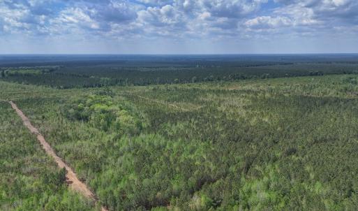 Photo #6 of Lot 13 Guinea Mill Rd, Ernul, NC 35.0 acres