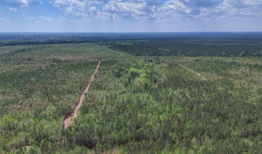 Photo #7 of Lot 13 Guinea Mill Rd, Ernul, NC 35.0 acres