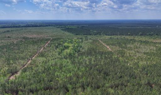 Photo #8 of Lot 13 Guinea Mill Rd, Ernul, NC 35.0 acres