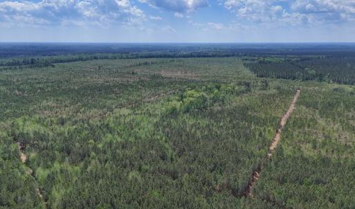 Photo #9 of Lot 13 Guinea Mill Rd, Ernul, NC 35.0 acres