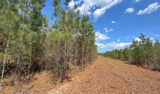 Photo #25 of Lot 13 Guinea Mill Rd, Ernul, NC 35.0 acres