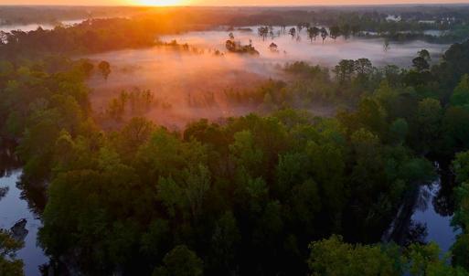 Photo #1 of Off of Durwood Evans Rd. , Beulaville, NC 174.7 acres