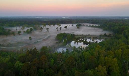 Photo #14 of Off of Durwood Evans Rd. , Beulaville, NC 174.7 acres