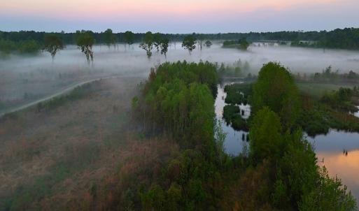 Photo #15 of Off of Durwood Evans Rd. , Beulaville, NC 174.7 acres