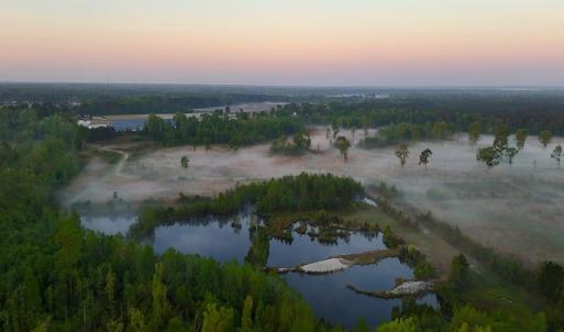 Photo #16 of Off of Durwood Evans Rd. , Beulaville, NC 174.7 acres