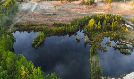 Photo #17 of Off of Durwood Evans Rd. , Beulaville, NC 174.7 acres