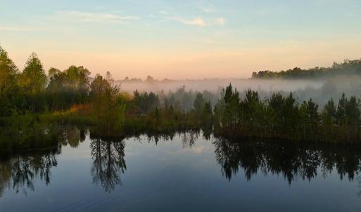 Photo #19 of Off of Durwood Evans Rd. , Beulaville, NC 174.7 acres
