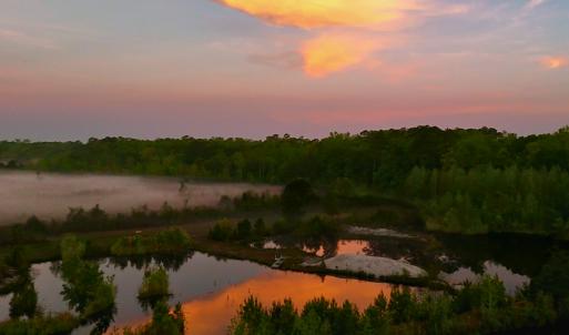 Photo #2 of Off of Durwood Evans Rd. , Beulaville, NC 174.7 acres