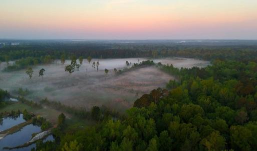 Photo #20 of Off of Durwood Evans Rd. , Beulaville, NC 174.7 acres