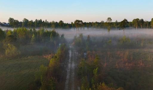 Photo #22 of Off of Durwood Evans Rd. , Beulaville, NC 174.7 acres