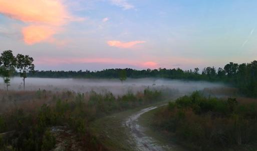 Photo #23 of Off of Durwood Evans Rd. , Beulaville, NC 174.7 acres
