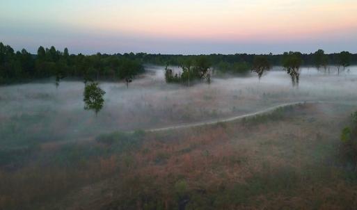 Photo #24 of Off of Durwood Evans Rd. , Beulaville, NC 174.7 acres