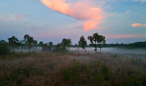 Photo #25 of Off of Durwood Evans Rd. , Beulaville, NC 174.7 acres