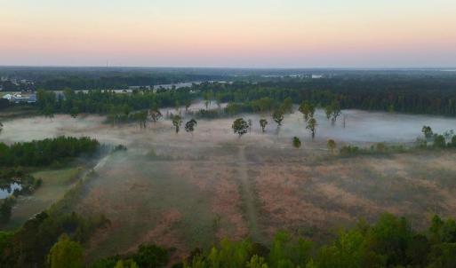 Photo #27 of Off of Durwood Evans Rd. , Beulaville, NC 174.7 acres