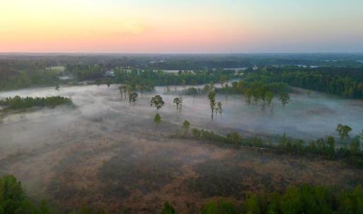 Photo #28 of Off of Durwood Evans Rd. , Beulaville, NC 174.7 acres