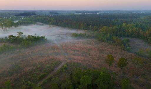 Photo #30 of Off of Durwood Evans Rd. , Beulaville, NC 174.7 acres
