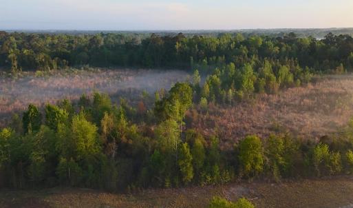 Photo #32 of Off of Durwood Evans Rd. , Beulaville, NC 174.7 acres