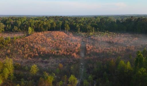 Photo #33 of Off of Durwood Evans Rd. , Beulaville, NC 174.7 acres