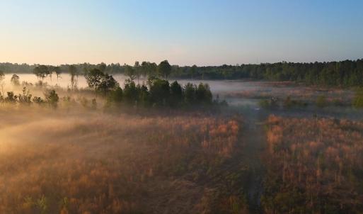 Photo #35 of Off of Durwood Evans Rd. , Beulaville, NC 174.7 acres