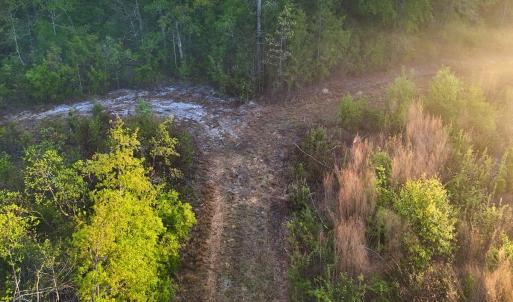 Photo #36 of Off of Durwood Evans Rd. , Beulaville, NC 174.7 acres