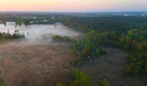 Photo #39 of Off of Durwood Evans Rd. , Beulaville, NC 174.7 acres