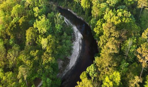 Photo #4 of Off of Durwood Evans Rd. , Beulaville, NC 174.7 acres