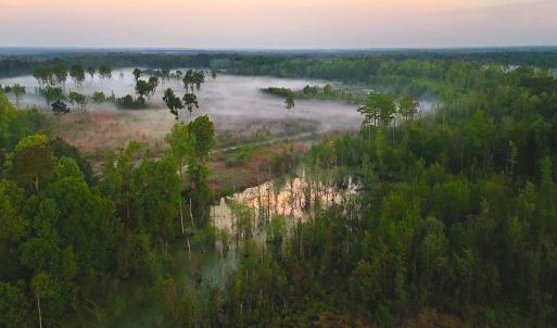 Photo #7 of Off of Durwood Evans Rd. , Beulaville, NC 174.7 acres