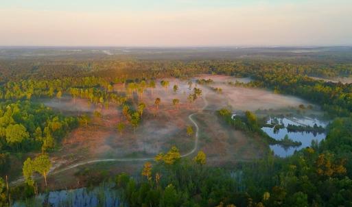 Photo #9 of Off of Durwood Evans Rd. , Beulaville, NC 174.7 acres