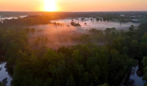 Photo #41 of Off of Durwood Evans Rd. , Beulaville, NC 174.7 acres