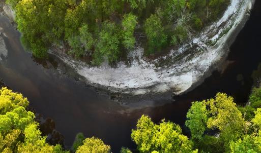 Photo #42 of Off of Durwood Evans Rd. , Beulaville, NC 174.7 acres