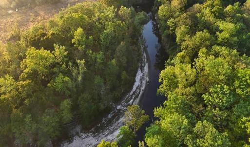 Photo #43 of Off of Durwood Evans Rd. , Beulaville, NC 174.7 acres