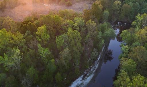 Photo #44 of Off of Durwood Evans Rd. , Beulaville, NC 174.7 acres