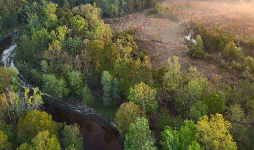 Photo #45 of Off of Durwood Evans Rd. , Beulaville, NC 174.7 acres
