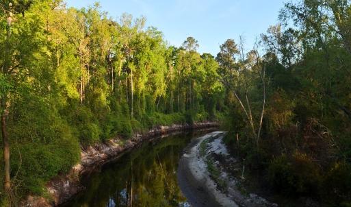 Photo #46 of Off of Durwood Evans Rd. , Beulaville, NC 174.7 acres