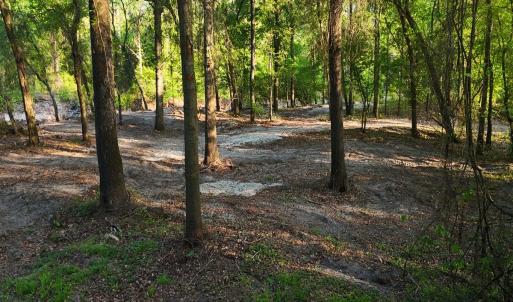 Photo #51 of Off of Durwood Evans Rd. , Beulaville, NC 174.7 acres