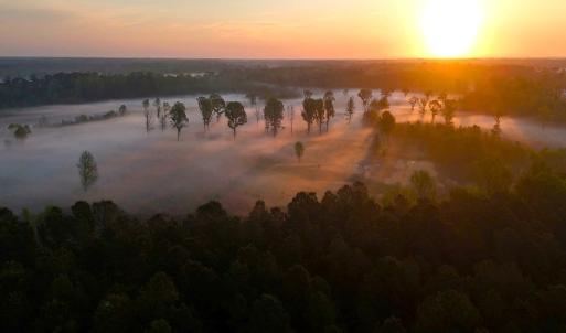 Photo #56 of Off of Durwood Evans Rd. , Beulaville, NC 174.7 acres