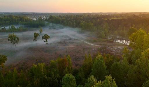 Photo #63 of Off of Durwood Evans Rd. , Beulaville, NC 174.7 acres