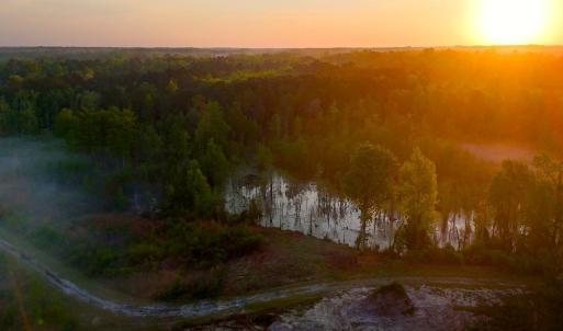 Photo #64 of Off of Durwood Evans Rd. , Beulaville, NC 174.7 acres