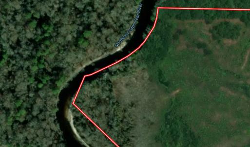 Photo #66 of Off of Durwood Evans Rd. , Beulaville, NC 174.7 acres