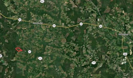 Photo #67 of Off of Durwood Evans Rd. , Beulaville, NC 174.7 acres