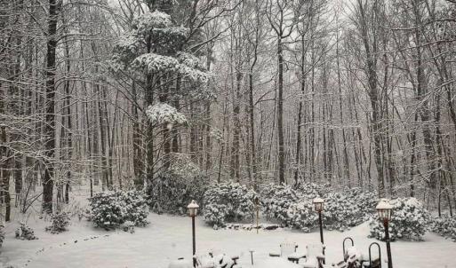Photo #15 of 311 Dan River Rd, Meadows of Dan, VA 39.2 acres