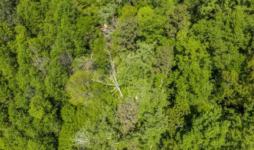 Photo #15 of Off Sunset Dr., Asheboro, NC 29.9 acres