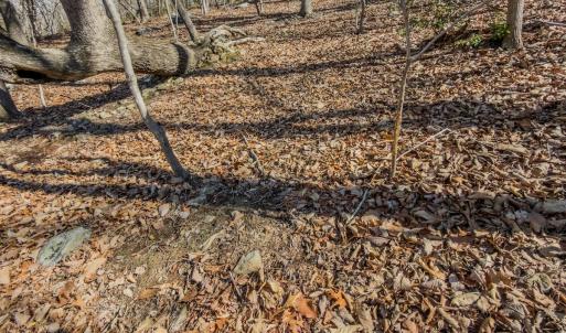 Photo #19 of Off Sunset Dr., Asheboro, NC 29.9 acres