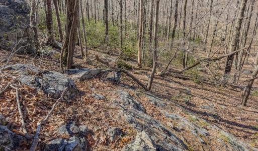 Photo #20 of Off Sunset Dr., Asheboro, NC 29.9 acres